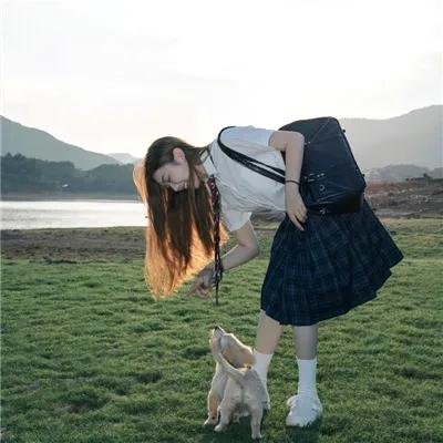 战龙在野