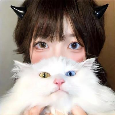 里斯本的秘密