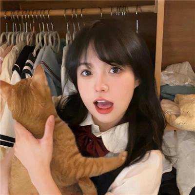 同路人